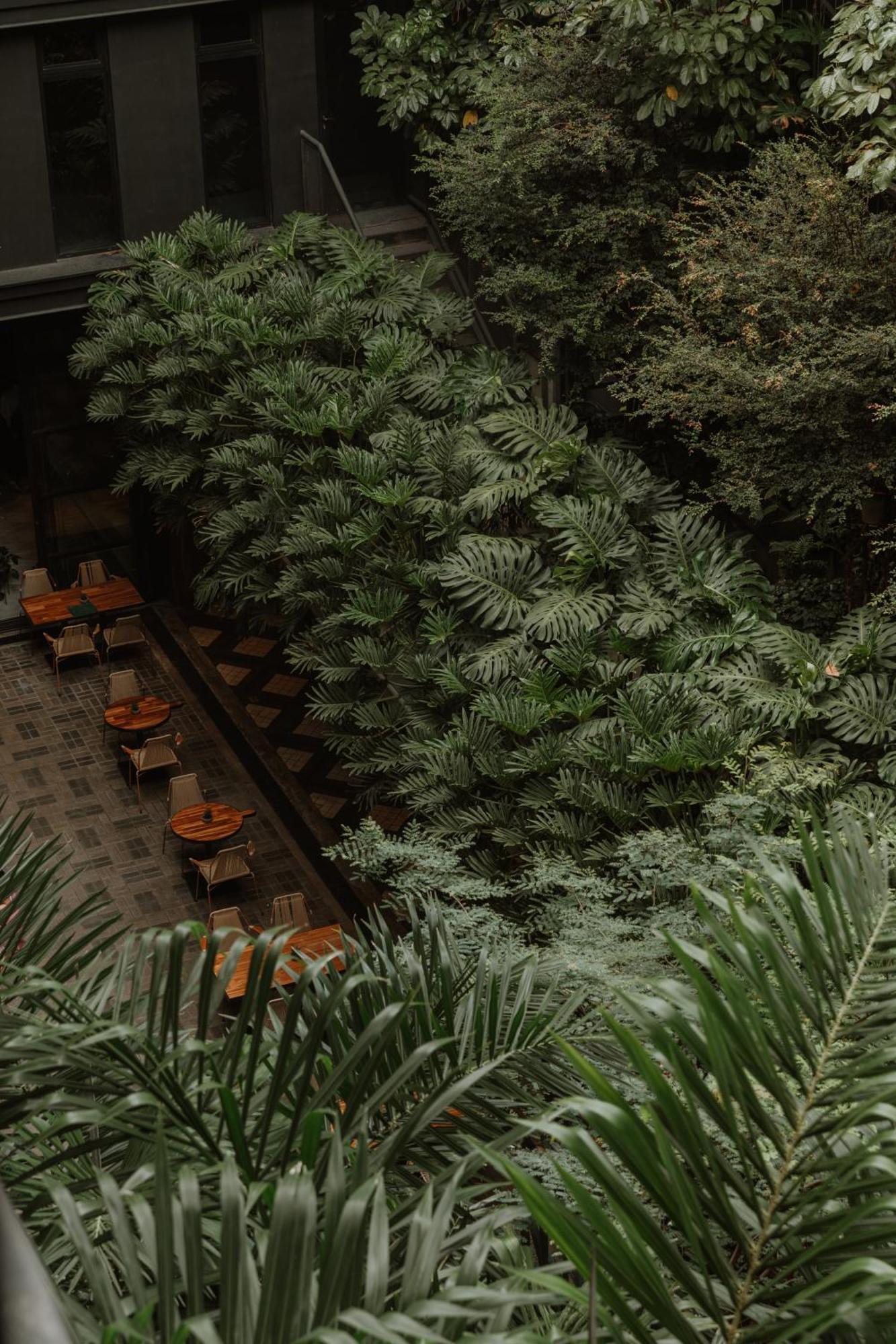 The Click Clack Hotel Medellin Ngoại thất bức ảnh Alpinum